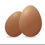 @eggegg8526