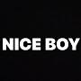 @NiceBoyrealmusic