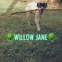 @petsandme8213