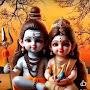 @ShivaniKumarisingh-x7x