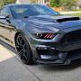 @bulld9646