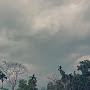 @AnkaPiyaEdison