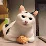 @SirGatos-m8x