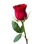 @A2030A-f5l