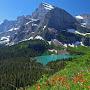 @Montana-788