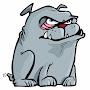 @bulldogsofeastvan5647
