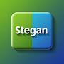 @steganint