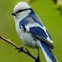 @Muntazirjavid793