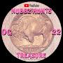 @NubbzHuntsTreasure