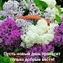 @Светлана-ш2м7ф