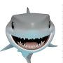 @Sharkfella9k
