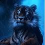 @Tiger155-P
