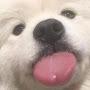 @또오리