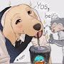 @dogefocus32