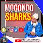 @mogondo-sharks-official