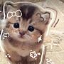 @ismaelkaddouri8504