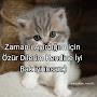 @osmangazivural7585