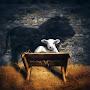 @SheepDog1974