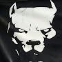 @razapitbulldogs7288