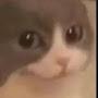 @Quthology