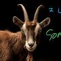 @sirbillygoat4885