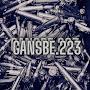 @Gansbe.223
