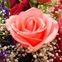 @mirzashahid84