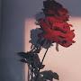 @SachinKumar-is6ee