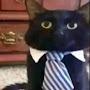 @MrManagerCat