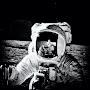 @spacexrocks1041