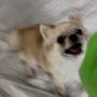 @까을까을가을이