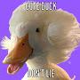 @cuteduckdontlie4636