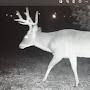@dustybowhunter