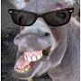 @Mommadonkey6
