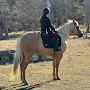 @Madi_Equine