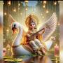 @PoonamMishra9517-v4q