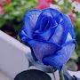 @hf4078