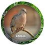 @ZainalDon-s3l