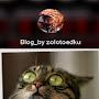 @blogzolotoedku7057