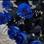 @بنصخرعبير