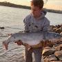 @MattMillFishing
