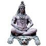 @Shiva-bo9yt
