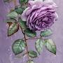 @Peony812