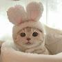 @user-hh8qo3zd1b