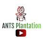@ANTSPlantation