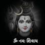 @rajaryan3365