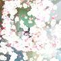 @모선윤-o5c