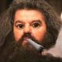 @DodgyHagrid