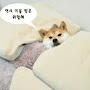 @좋은일만-l6t