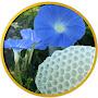 @bienen-dialoge5769